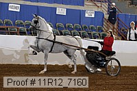 11r12_7160 proof