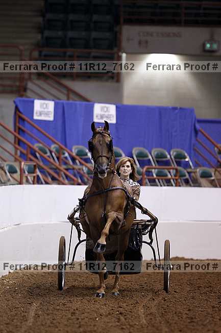 Proof 11r12_7162
