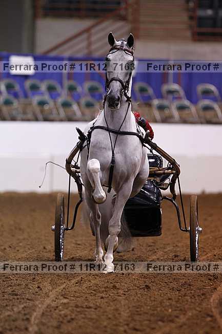 Proof 11r12_7163