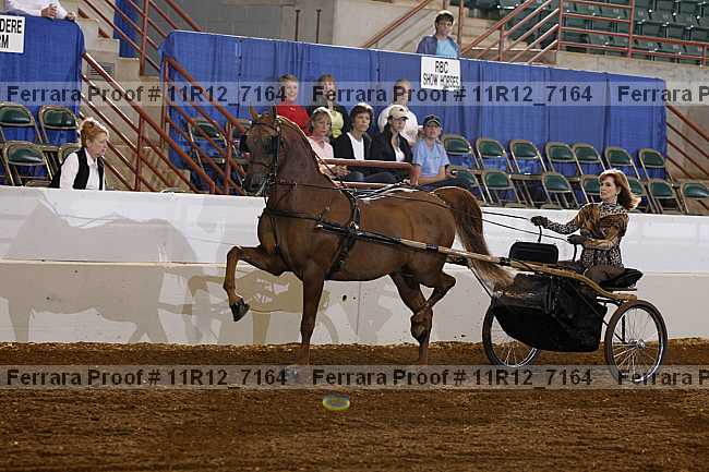 Proof 11r12_7164