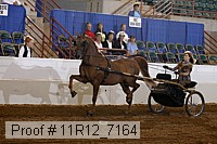 11r12_7164 proof