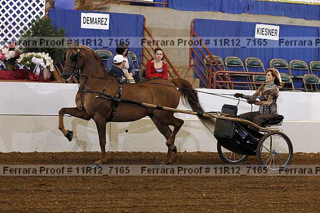 Proof 11r12_7165