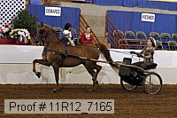 11r12_7165 proof