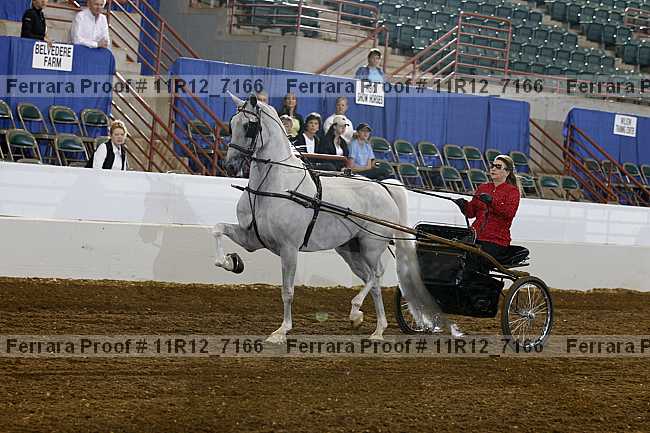 Proof 11r12_7166