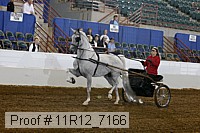 11r12_7166 proof