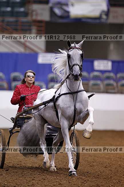 Proof 11r12_7168