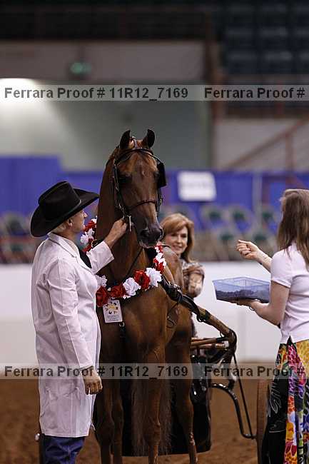 Proof 11r12_7169
