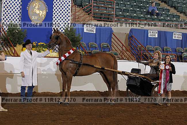 Proof 11r12_7170