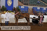 11r12_7170 proof