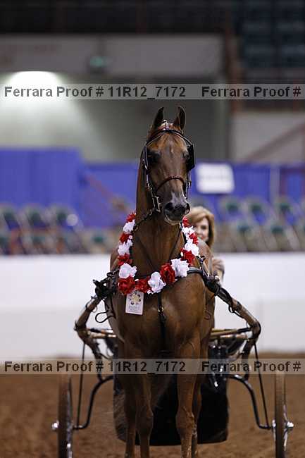 Proof 11r12_7172