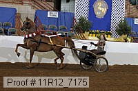 11r12_7175 proof