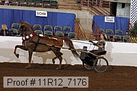 11r12_7176 proof