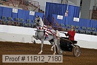 11r12_7180 proof