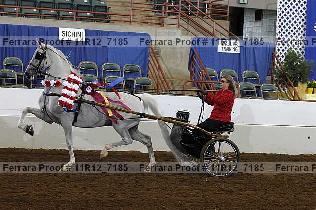 Proof 11r12_7185