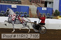 11r12_7185 proof