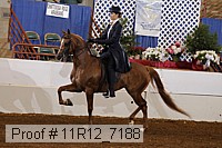 11r12_7188 proof