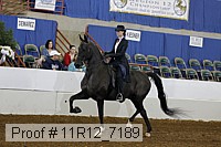 11r12_7189 proof