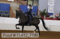 11r12_7190 proof