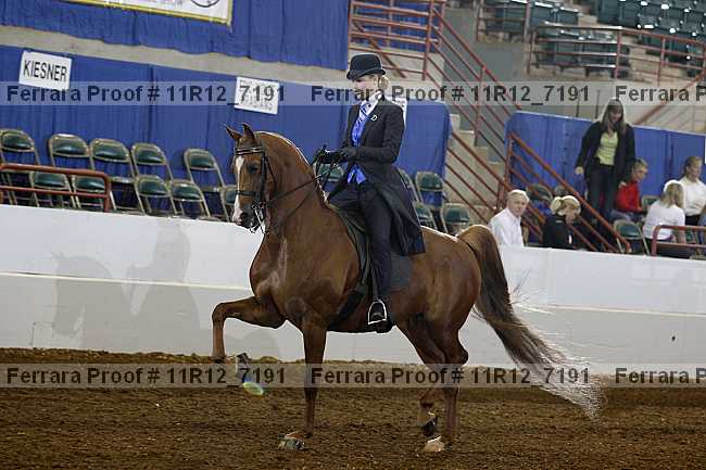 Proof 11r12_7191