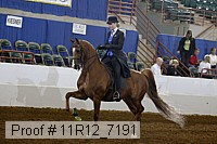 11r12_7191 proof