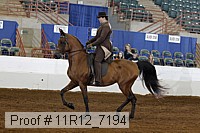 11r12_7194 proof