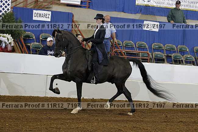 Proof 11r12_7197