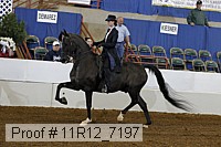 11r12_7197 proof