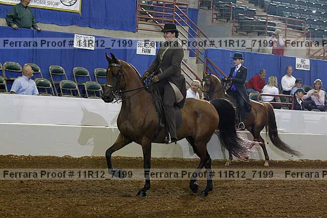 Proof 11r12_7199