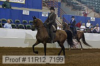 11r12_7199 proof