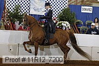 11r12_7200 proof