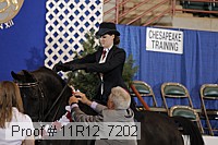 11r12_7202 proof