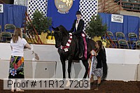 11r12_7203 proof
