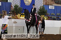 11r12_7204 proof