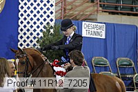 11r12_7205 proof