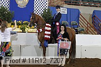 11r12_7207 proof