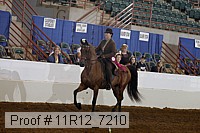 11r12_7210 proof