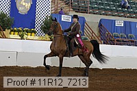 11r12_7213 proof