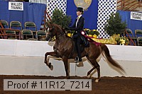 11r12_7214 proof