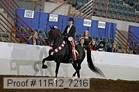11r12_7216 proof