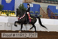 11r12_7217 proof