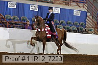 11r12_7220 proof