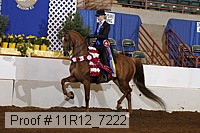 11r12_7222 proof