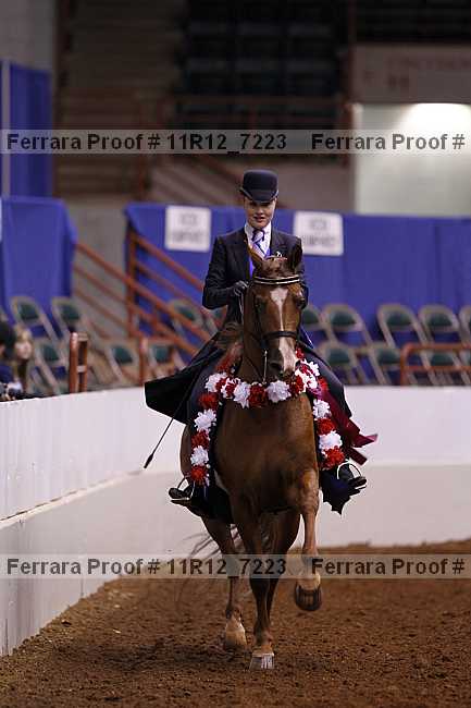 Proof 11r12_7223