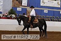 11r12_7226 proof