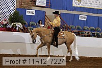 11r12_7227 proof