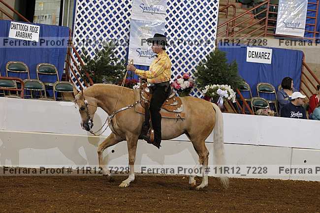Proof 11r12_7228