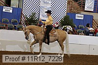 11r12_7228 proof