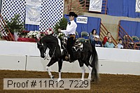 11r12_7229 proof