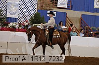 11r12_7232 proof