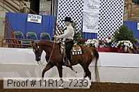 11r12_7233 proof